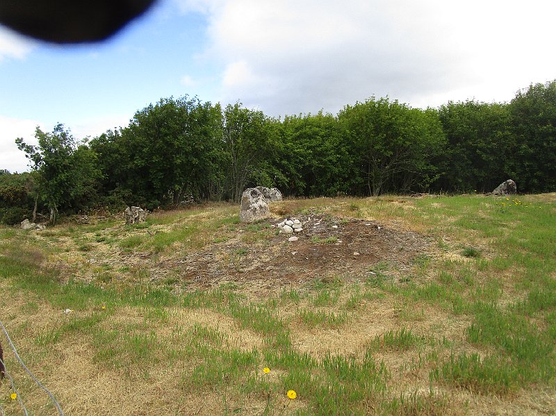 2018.07.07 Loch Ness und die Delphine (1660).JPG